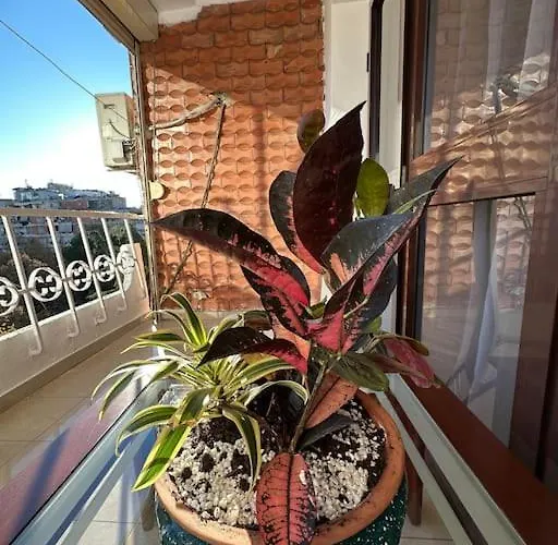 Skanderbeg Square Center * 티라나